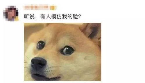 微信吃瓜大佬 第2张 微信吃瓜大佬 第2张